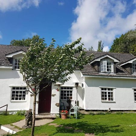 Coynant Farm Guesthouse - Farm Park Stay Swansea Zewnętrze zdjęcie