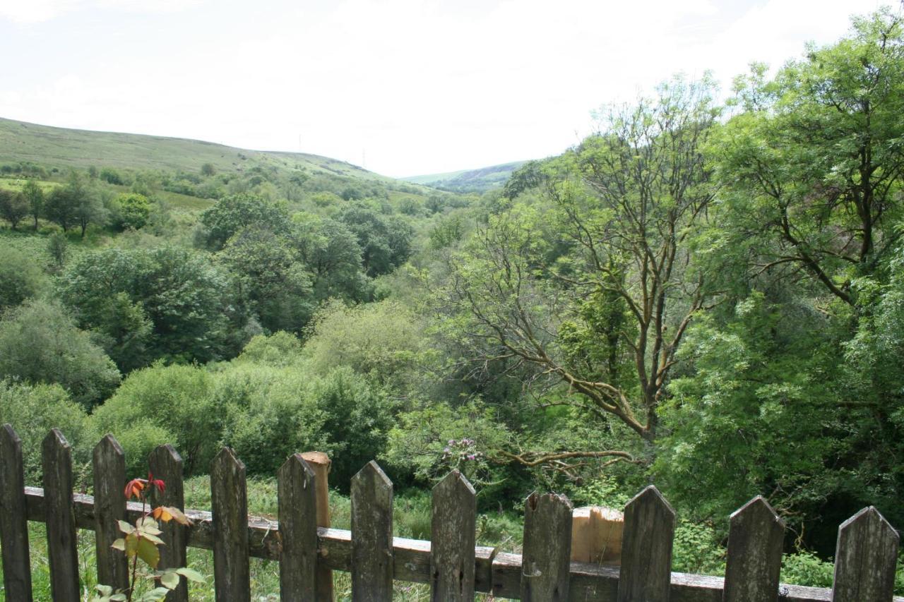 Coynant Farm Guesthouse - Farm Park Stay Swansea Zewnętrze zdjęcie