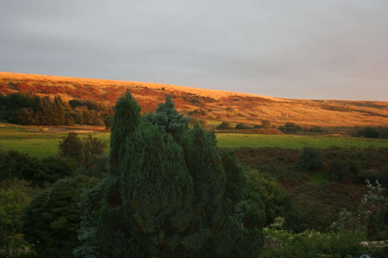 Coynant Farm Guesthouse - Farm Park Stay Swansea Zewnętrze zdjęcie